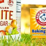 baking soda as weed killer