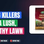 Best Grub Killers for a Lush, Healthy Lawn