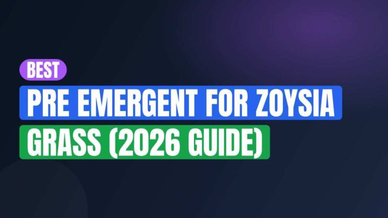 Best Pre Emergent For Zoysia Grass (2026 Guide)