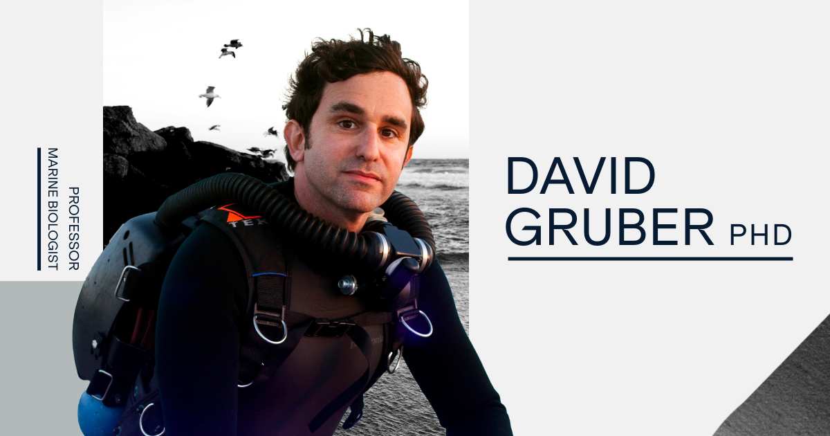 David Gruber marine biologist portrait