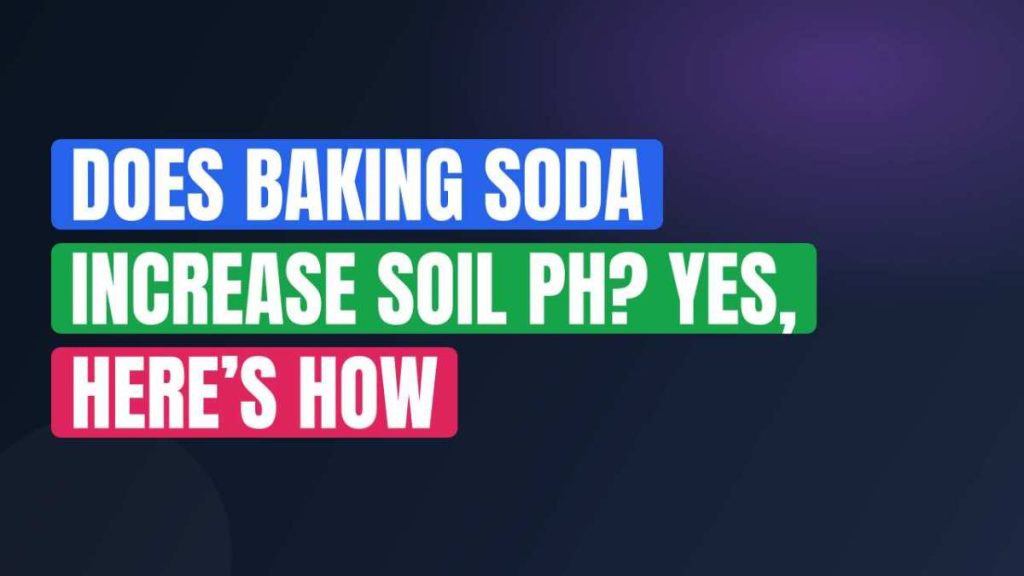 Does Baking Soda Increase Soil pH? Yes, Here’s How