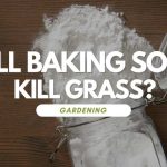 does baking soda kill grass and weeds