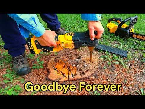 epsom salt to remove stumps