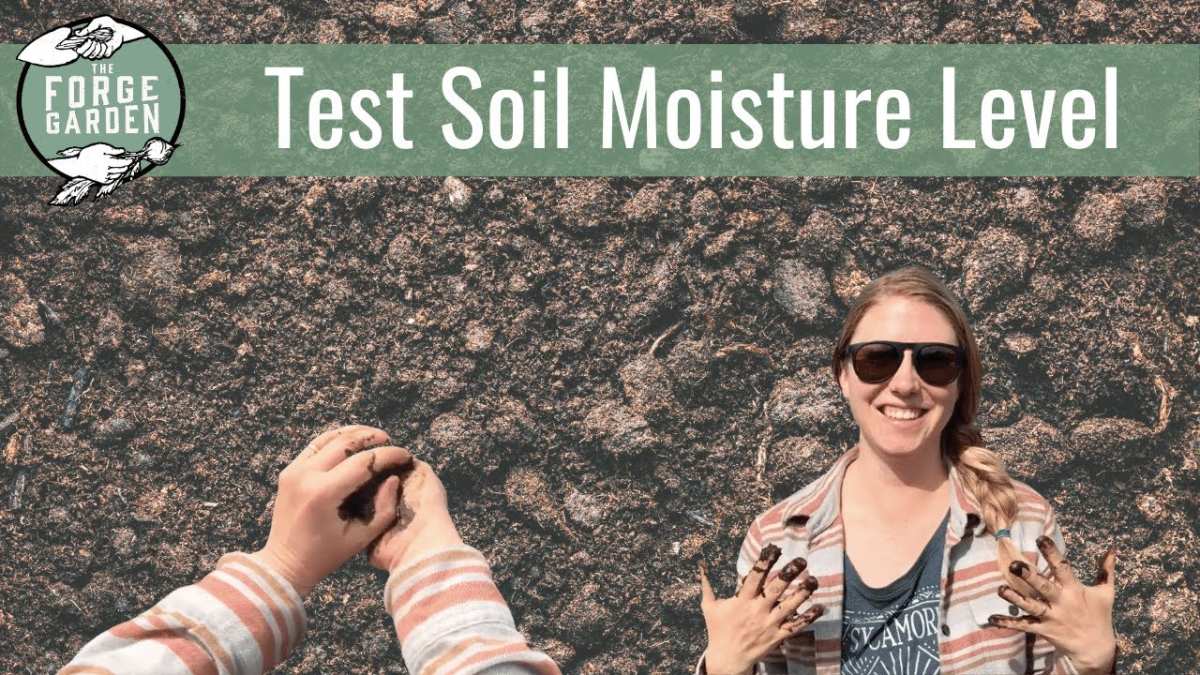 finger test soil moisture