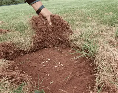 grub count lawn inspection