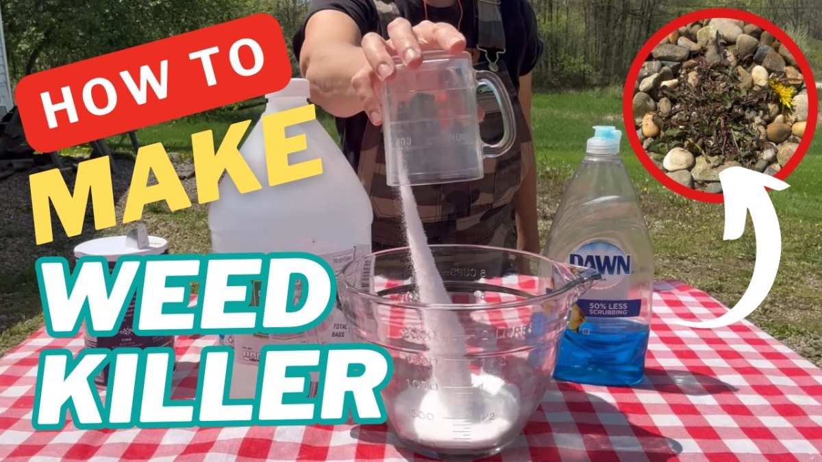 homemade weed killer alternatives