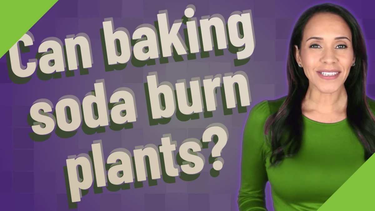 How Baking Soda Actually Kills Plants (The Science Made Simple)