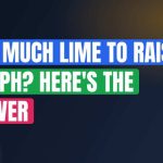 How Much Lime to Raise Soil pH? Here's the Answer