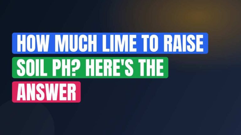 How Much Lime to Raise Soil pH? Here's the Answer