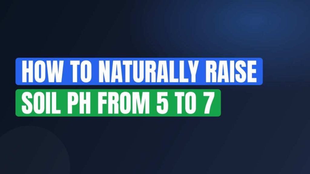How to Naturally Raise Soil pH from 5 to 7