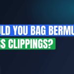 Should You Bag Bermuda Grass Clippings?