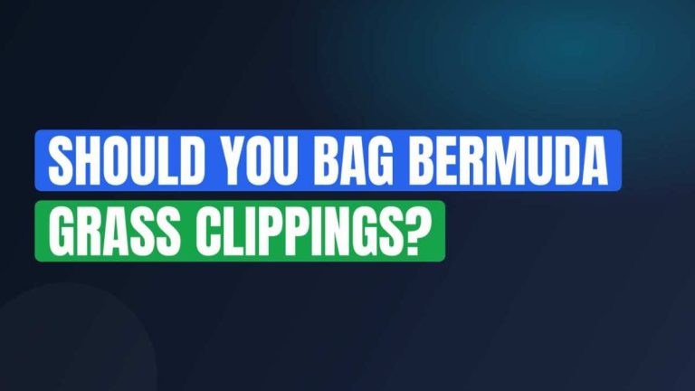 Should You Bag Bermuda Grass Clippings?