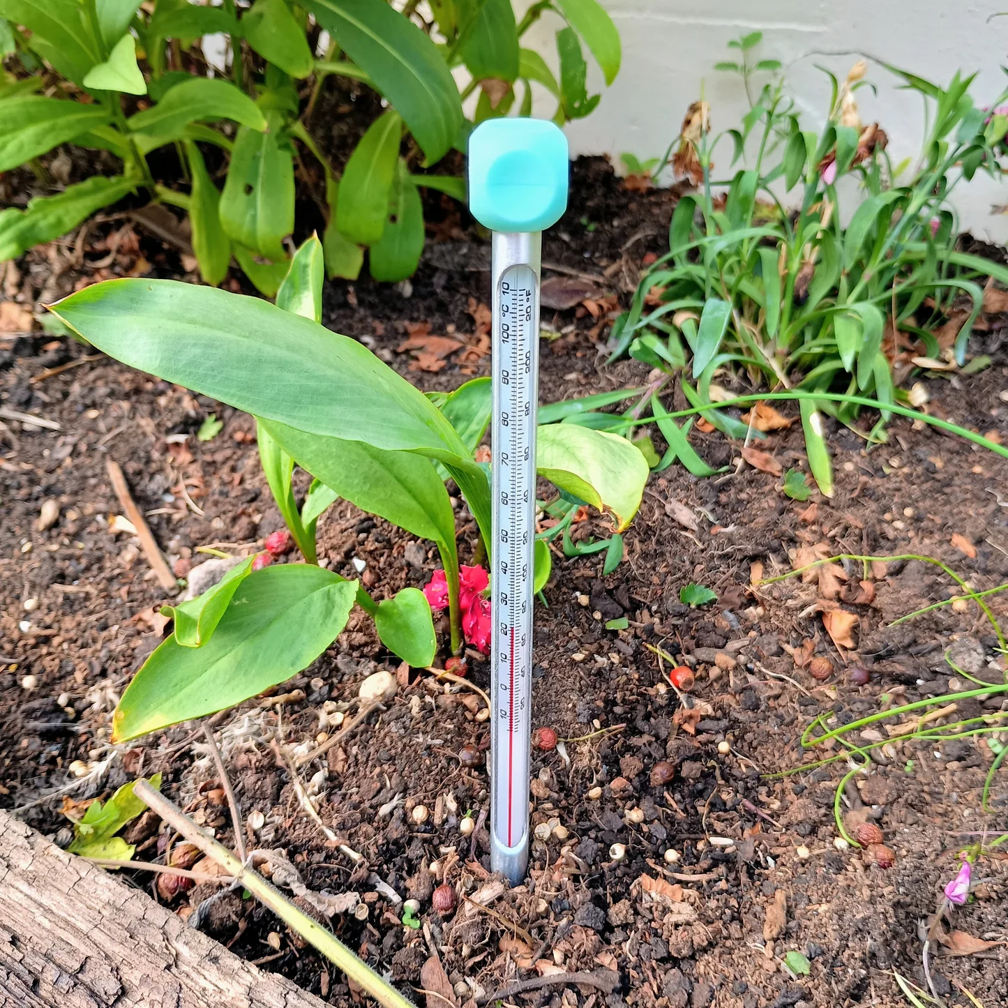 soil thermometer lawn