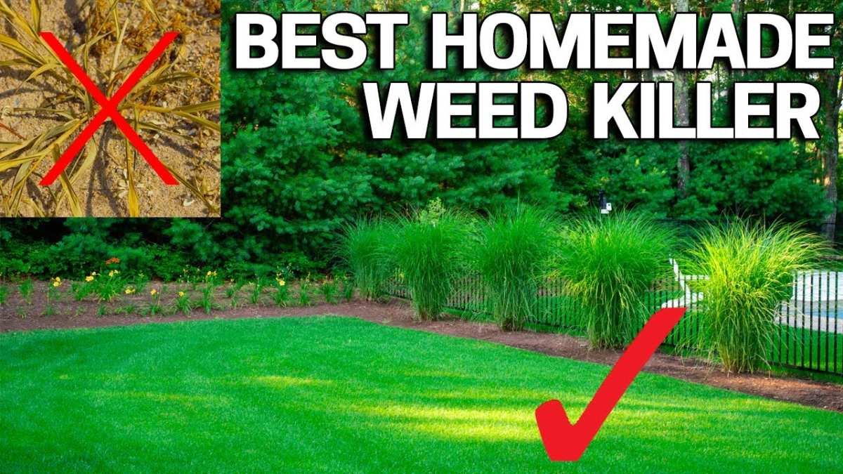weed control decision flowchart