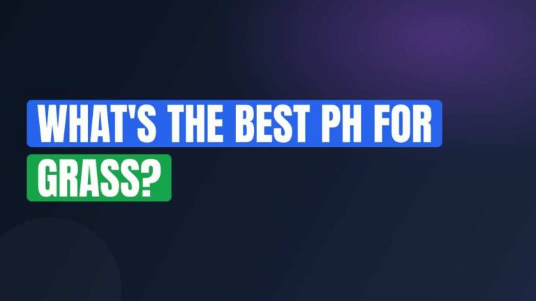 What's the Best pH for Grass?