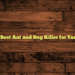 5 Best Ant and Bug Killer for Yard