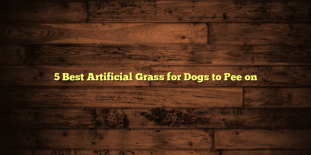 5 Best Artificial Grass for Dogs to Pee on