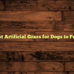 5 Best Artificial Grass for Dogs to Pee on