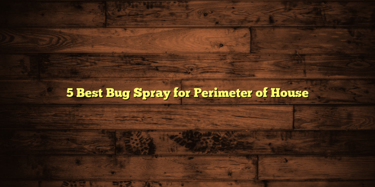 5 Best Bug Spray for Perimeter of House