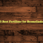 5 Best Fertilizer for Bromeliads
