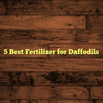 5 Best Fertilizer for Daffodils
