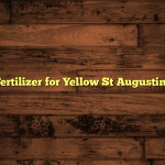 5 Best Fertilizer for Yellow St Augustine Grass
