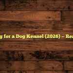 5 Best Flooring for a Dog Kennel (2026) — Real Buyer Picks