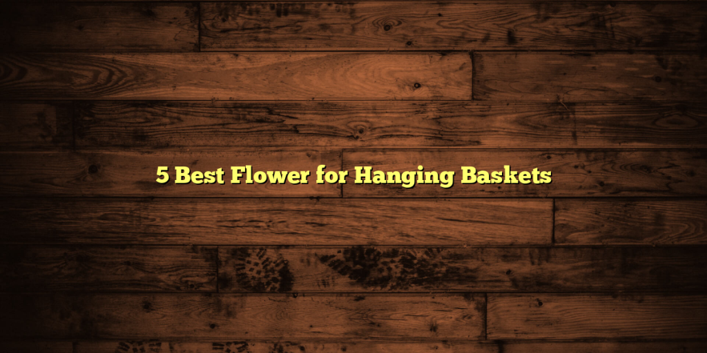 5 Best Flower for Hanging Baskets