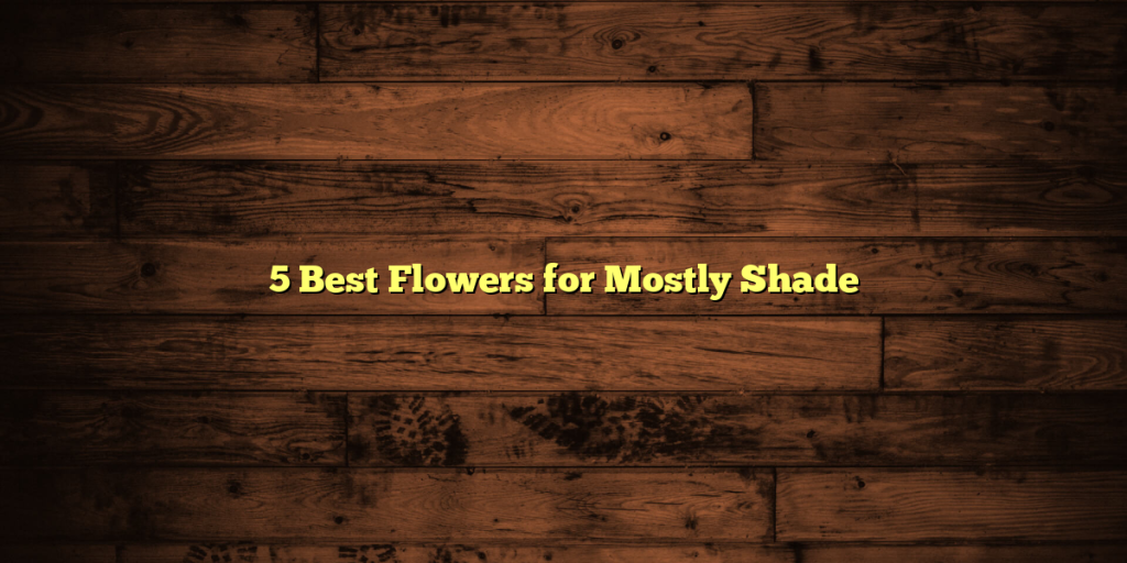 5 Best Flowers for Mostly Shade