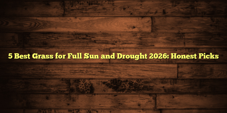5 Best Grass for Full Sun and Drought 2026: Honest Picks