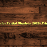 5 Best Grass for Partial Shade in 2026 (Tried & Tested)