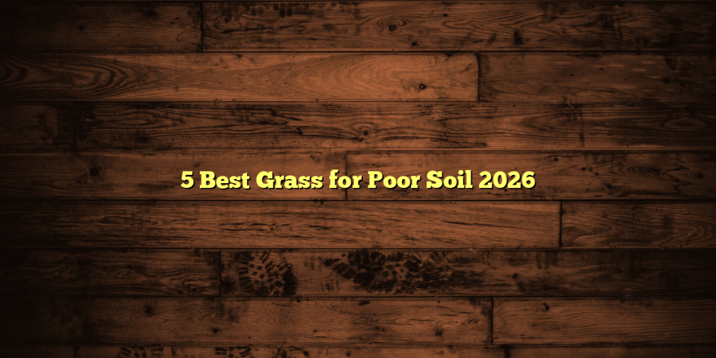 5 Best Grass for Poor Soil 2026