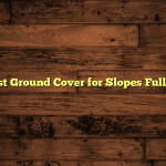 5 Best Ground Cover for Slopes Full Sun
