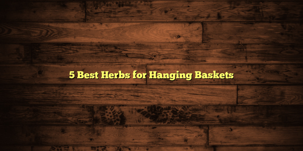 5 Best Herbs for Hanging Baskets