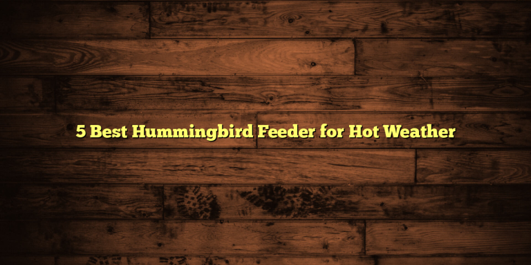 5 Best Hummingbird Feeder for Hot Weather