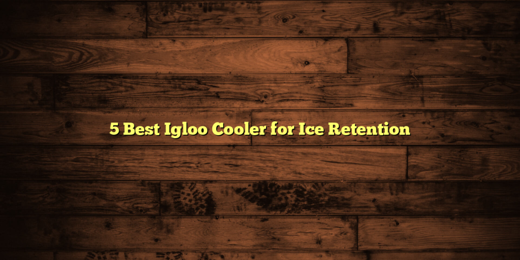 5 Best Igloo Cooler for Ice Retention