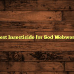 5 Best Insecticide for Sod Webworms