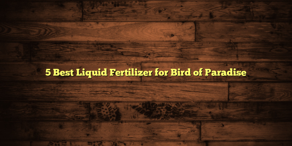 5 Best Liquid Fertilizer for Bird of Paradise