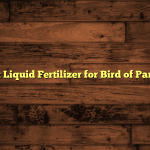 5 Best Liquid Fertilizer for Bird of Paradise