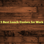 5 Best Lunch Coolers for Work