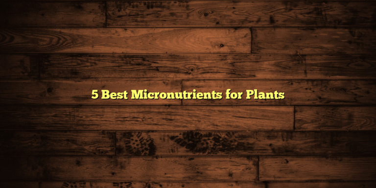 5 Best Micronutrients for Plants