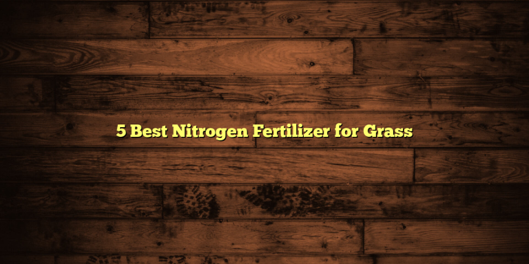 5 Best Nitrogen Fertilizer for Grass
