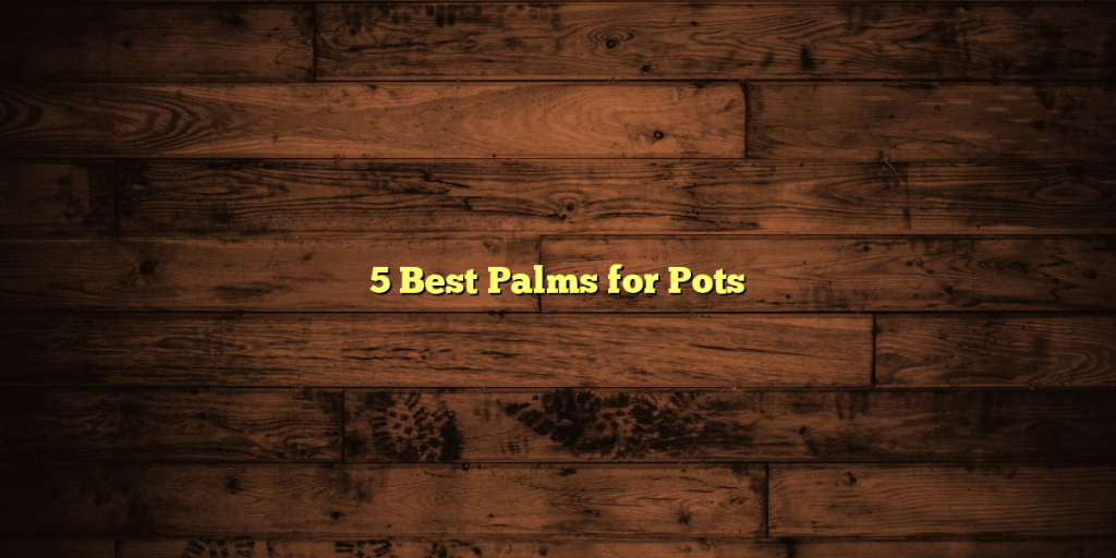 5 Best Palms for Pots