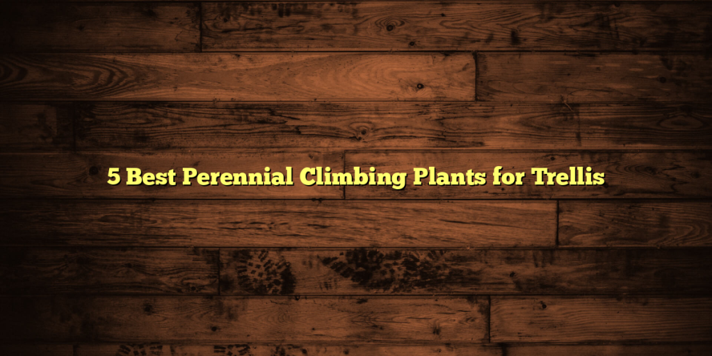 5 Best Perennial Climbing Plants for Trellis