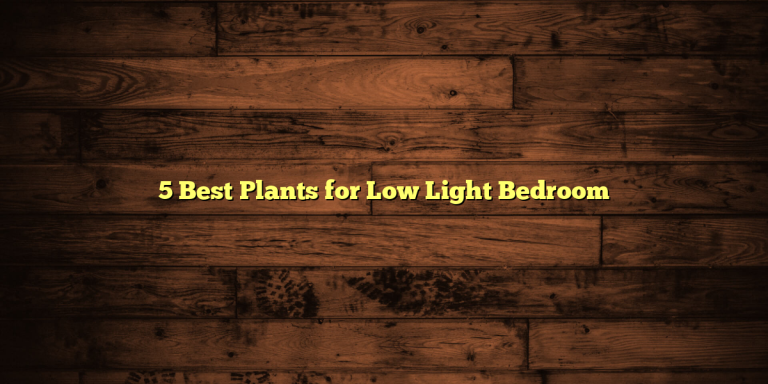 5 Best Plants for Low Light Bedroom