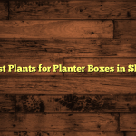 5 Best Plants for Planter Boxes in Shade