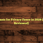 5 Best Plants for Privacy Fence in 2026 (Tested & Reviewed)