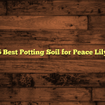 5 Best Potting Soil for Peace Lily