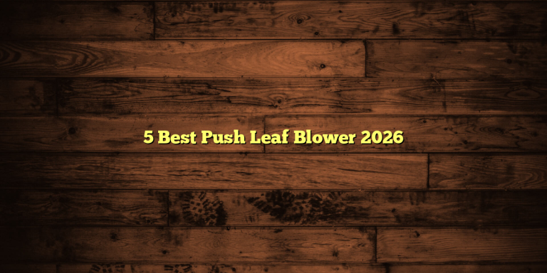 5 Best Push Leaf Blower 2026