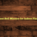 5 Best Soil Mixture for Indoor Plants
